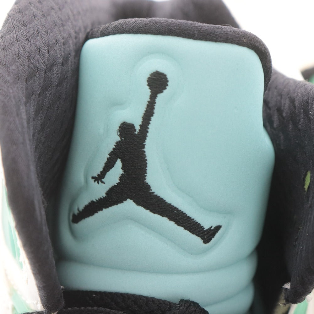 Nike Air Jordan 5 Retro Snuggle Dy Men's Sneakers (CN2932-100) Size 26cm (White, Green, Yellow) with Box