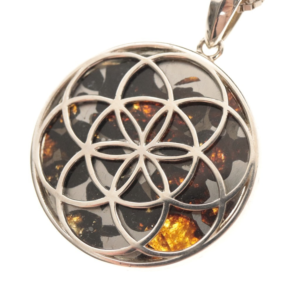 ■ HANDA Pallasite Meteorite Necklace Sericho Pendant PSSP-020-1145 25mm SV925 Stony-Iron Meteorite Olivine Rarity Power Stone with accessories