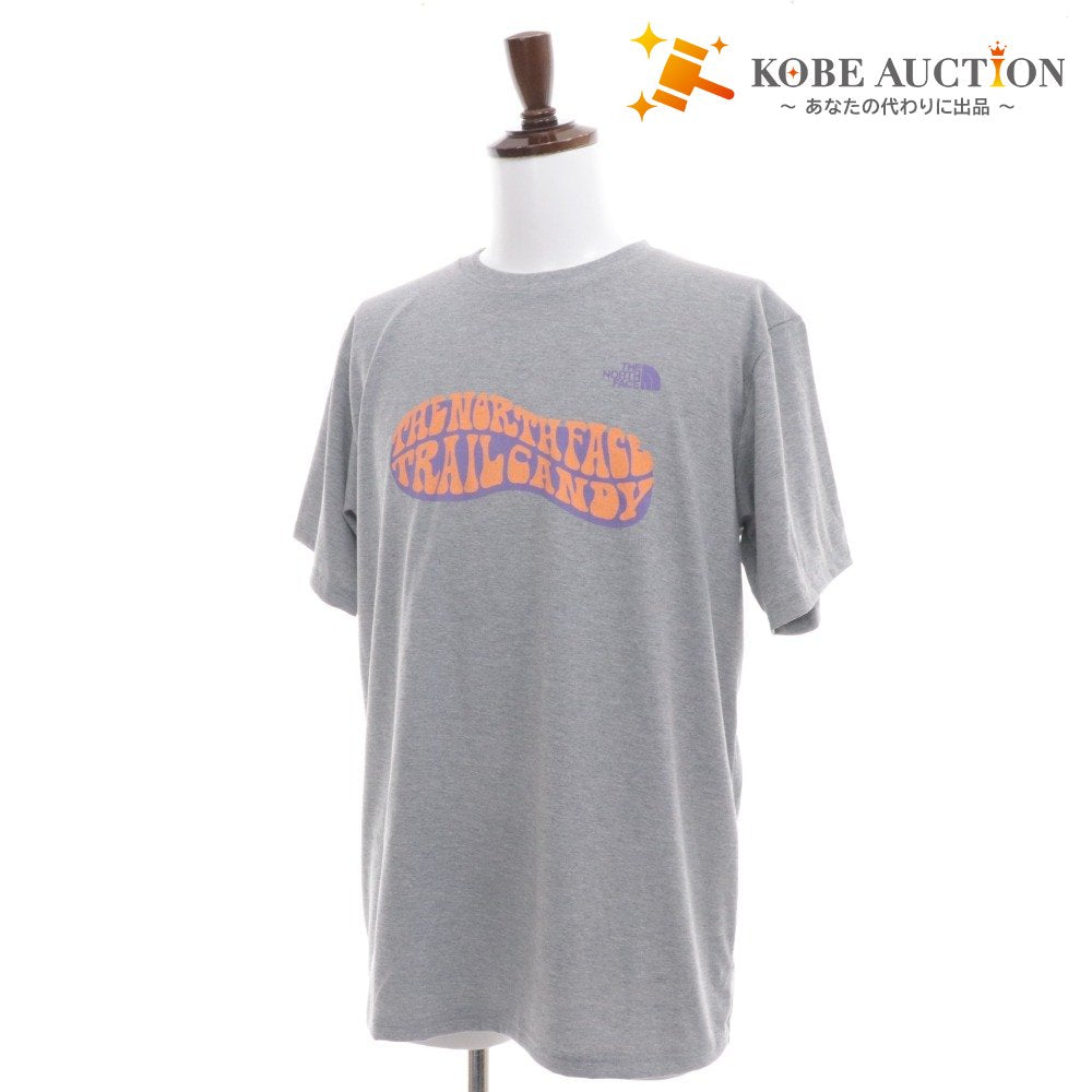 ■ ノースフェイス グラフィックTシャツ 半袖 トップス プリント メンズ XL グレー系 タグ付き 未使用