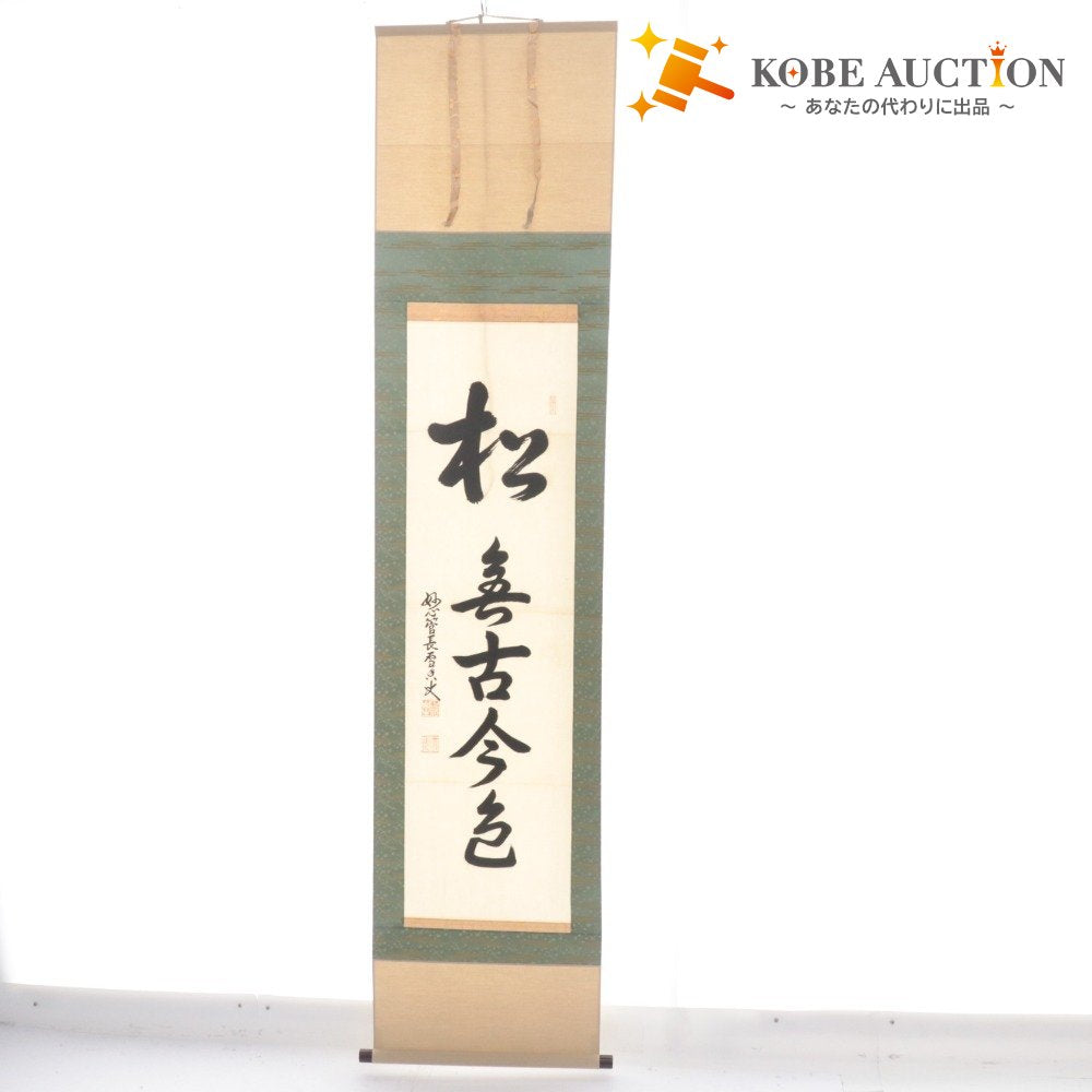 KOBE CITY HC【廃盤 美品】IMMORTALITY XXL KOBE CITY HC【廃盤 美品】IMMORTALITY XXL