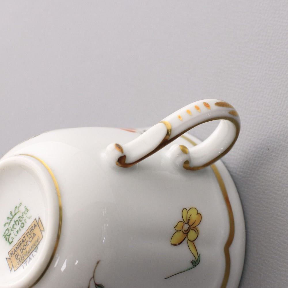 ■ Richard Ginori リチャードジノリ カップ ソーサー 2客セット 洋食器 イタリア製 イタリアンフルーツ 箱付き