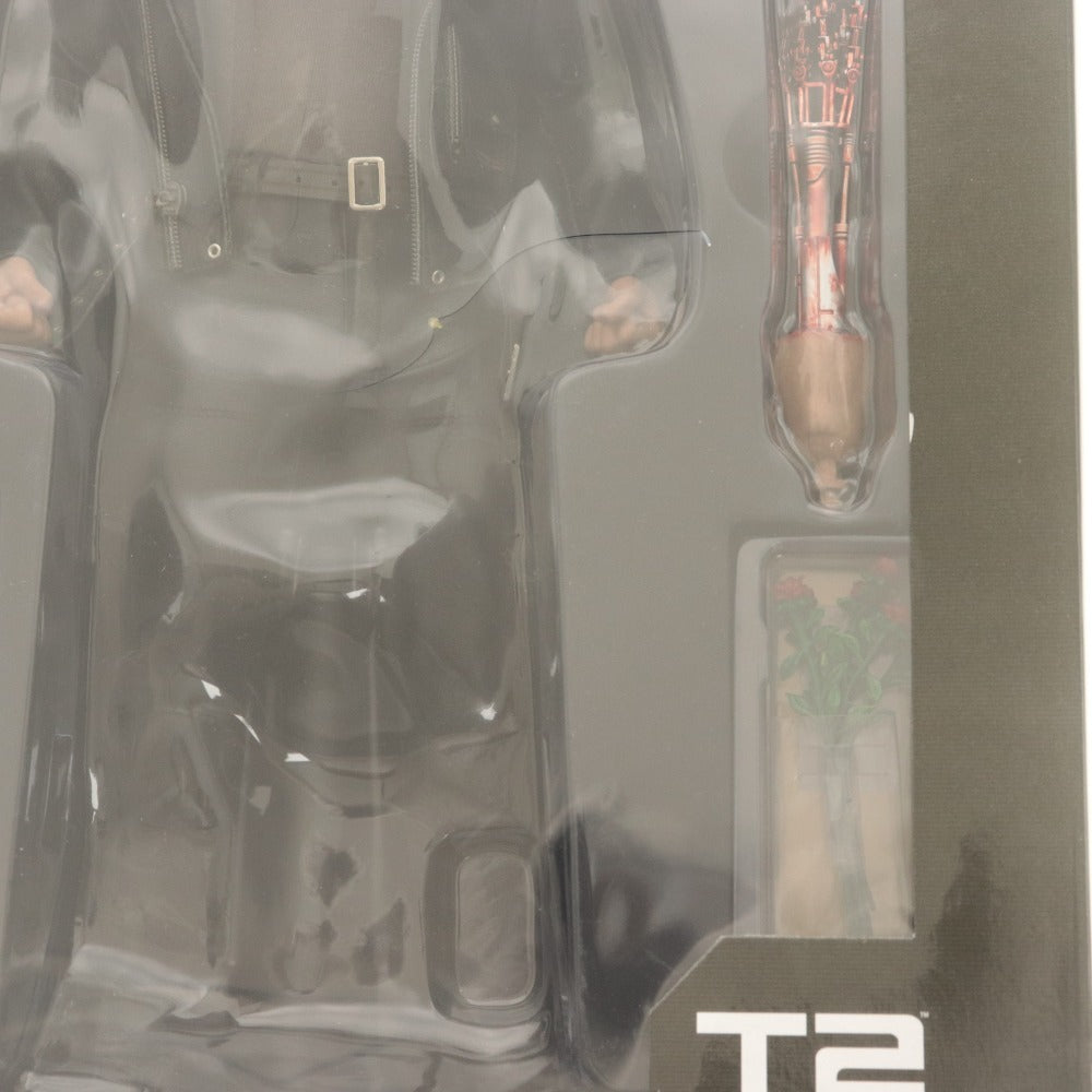 ■ ホットトイズ SIDESHOW ドール フィギュア 1/6 TERMINATOR2 JUDGMENT DAY T-800 MMS117 アーノルドシュワルツェネッガー 未開封 未使用