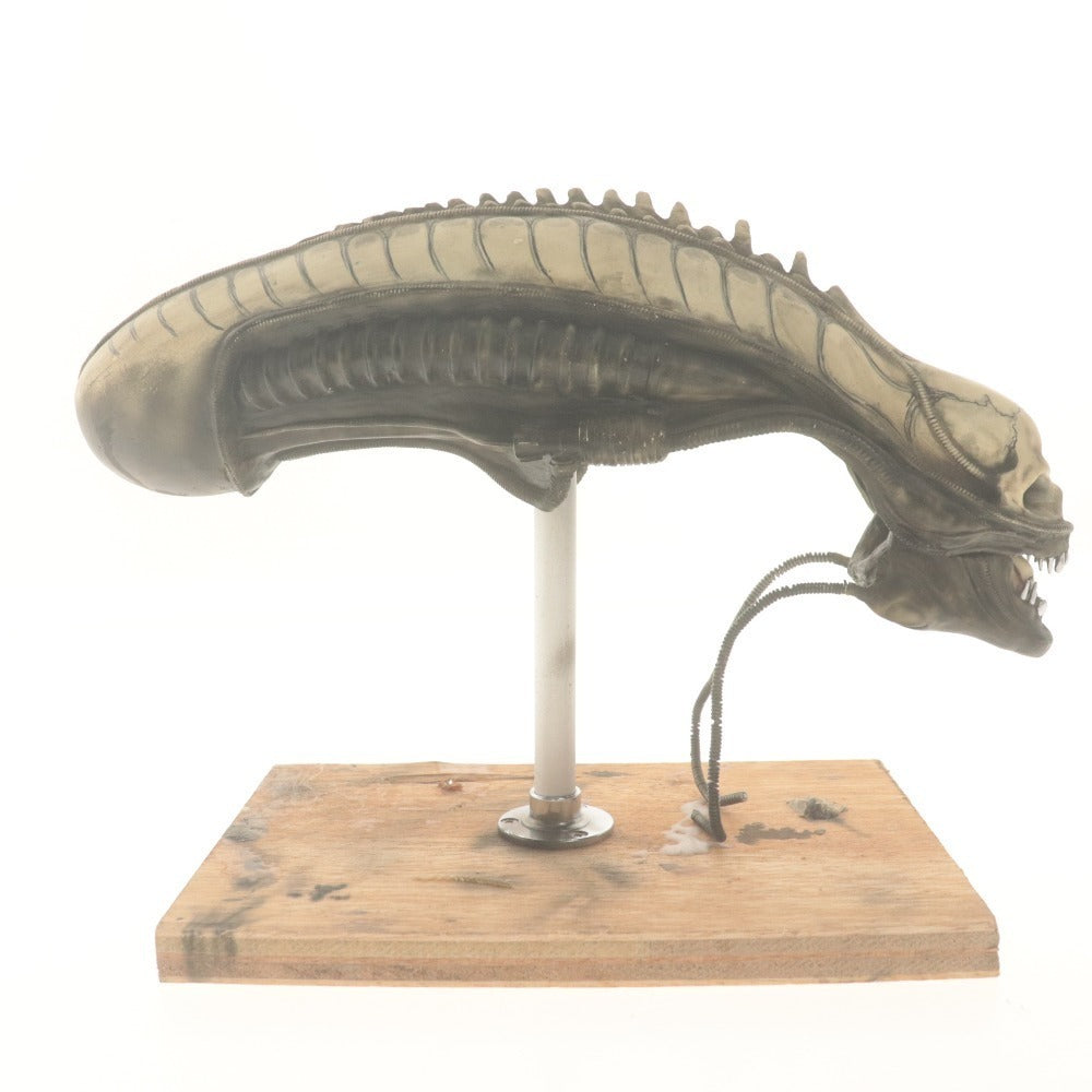 ■ サイコモンスターズ エイリアン ヘッド フィギュア ゼノモーフ (ビッグチャップ) 全長24cm 台座付き カスタム版 訳アリ