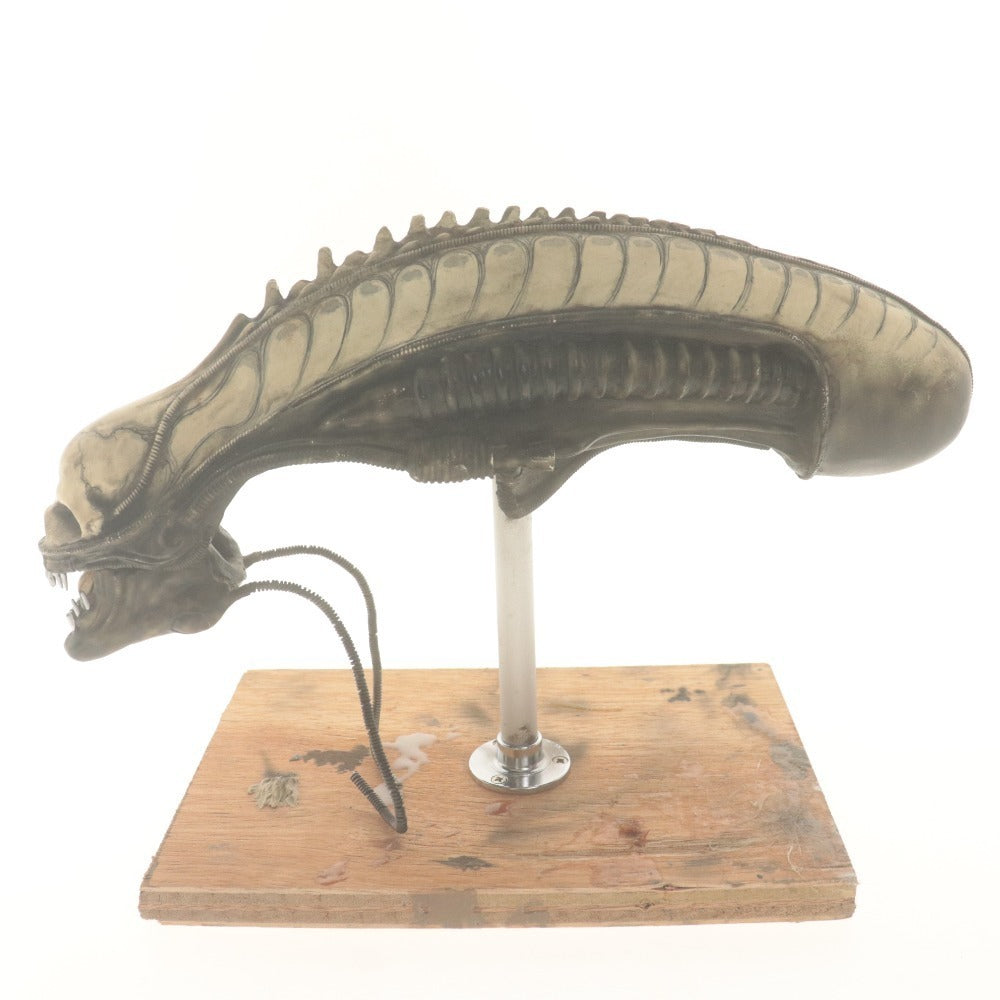■ サイコモンスターズ エイリアン ヘッド フィギュア ゼノモーフ (ビッグチャップ) 全長24cm 台座付き カスタム版 訳アリ