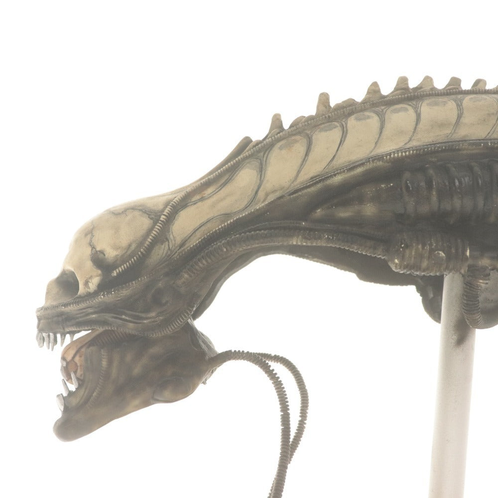 ■ サイコモンスターズ エイリアン ヘッド フィギュア ゼノモーフ (ビッグチャップ) 全長24cm 台座付き カスタム版 訳アリ