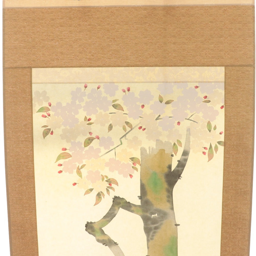 ■ 小川大鳳 掛軸 春軸 『桜に瑠璃鳥 さくら』 花鳥 絹本 肉筆 14326 全長187cm 共箱付き 美品
