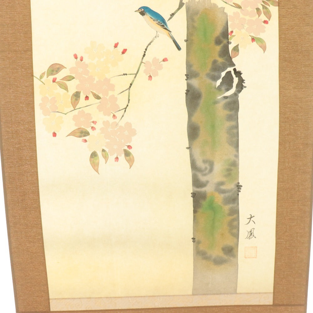 ■ 小川大鳳 掛軸 春軸 『桜に瑠璃鳥 さくら』 花鳥 絹本 肉筆 14326 全長187cm 共箱付き 美品