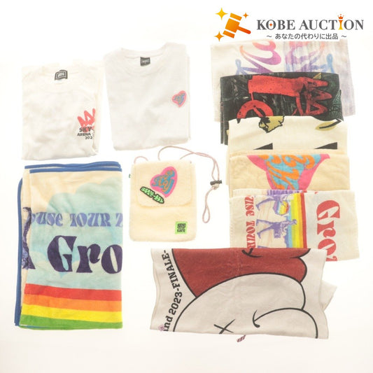 ■ SKY-HI ライブグッズ 10点セットまとめ売り BOSSDOM/2018/HOUSE2016/HALL2017/2024/Round a Ground/ツアータオル,Tシャツ 公式