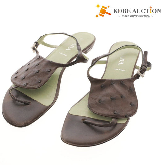 ■ プラダ サンダル 靴 フラット オーストリッチ ストラップ トング レディース 36 （23cm相当） ブラウン