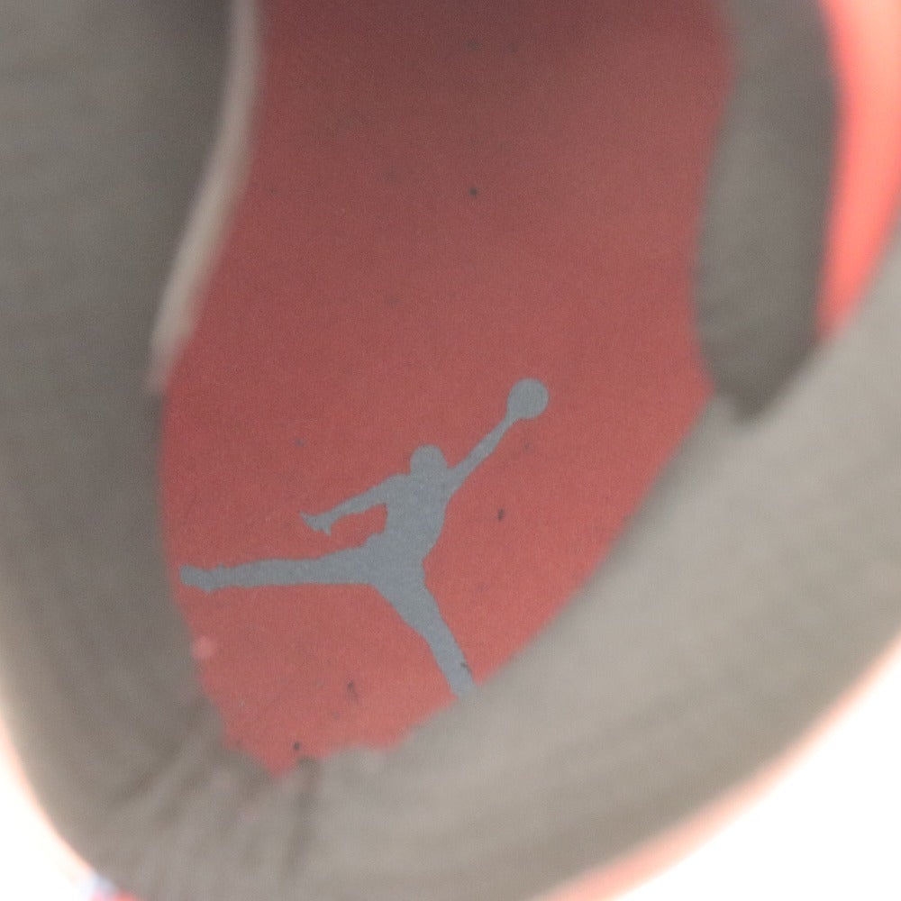 ■ ナイキ スニーカー 靴 NIKE AIR JORDAN 10 RETRO CHICAGO FLAG エアジョーダン バスケロゴ メンズ 28cm 赤白 ライトブルー