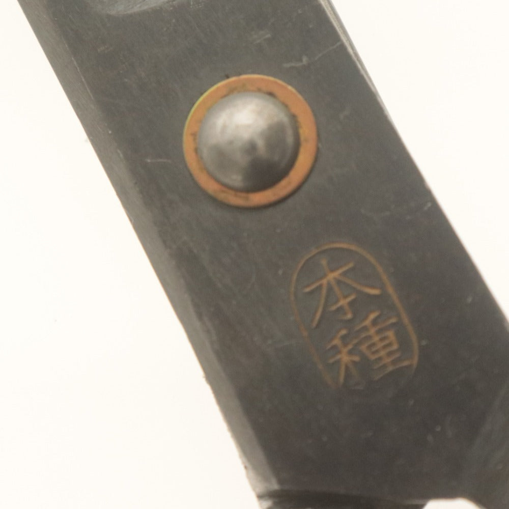 ■ 池浪刃物製作所 本種子鋏 ハサミ 洋バサミ 本種 全長約18.5cm 木箱付き