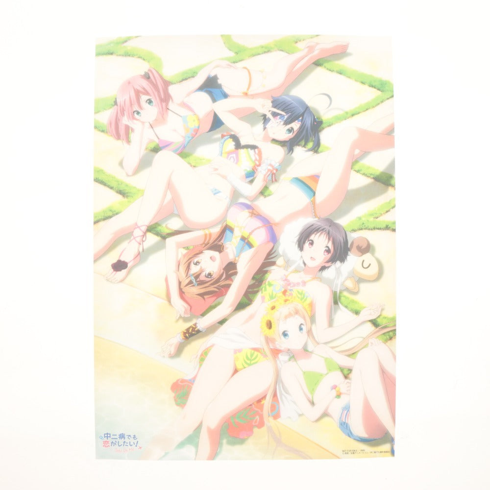 ■ Love, Chunibyo & Other Delusions! Blu-ray Official Setting Document Collection Clear Poster 3-Piece Set Bundle Take On Me Kyoto Animation