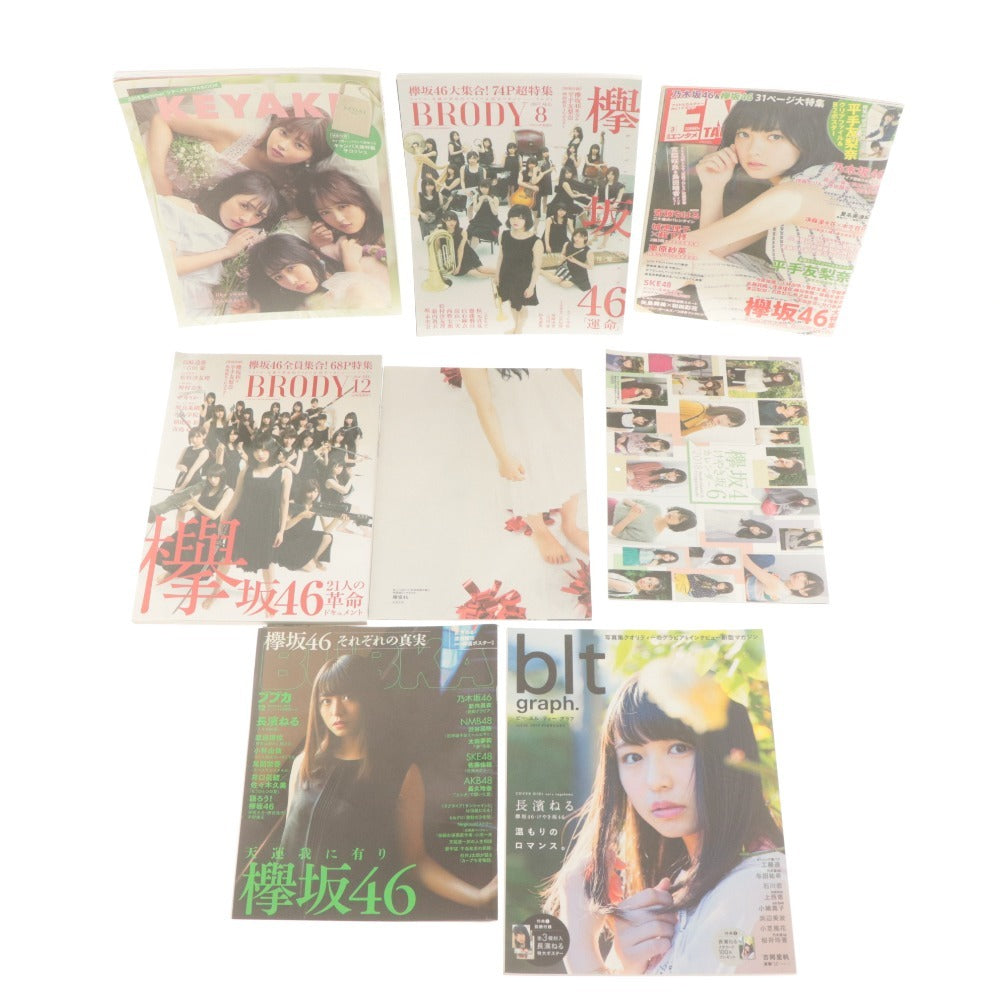 ■ 欅坂46 雑誌 写真集 大量セットまとめ売り BLT/BRODY/ブブカ/カドカワ/平手友梨奈 小林由依 長濱ねる 今泉佑唯 渡邉理佐 等 付属品付き