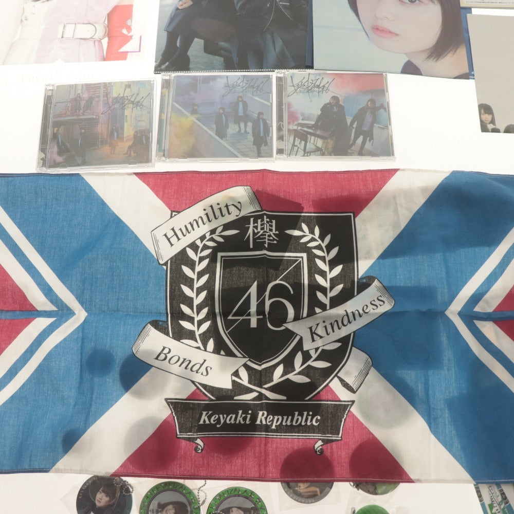 ■ 欅坂46 グッズ 大量セット まとめ売り 缶バッチ/ファイル/サイン入りフォトカード/ポスター 齋藤京子 織田奈那 長濱ねる 石森虹花 等