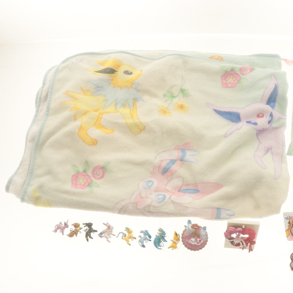 ■ Pokémon Eevee Eevee Friends 21-Piece Goods Set Blanket Cleaner Mascot Acrylic, etc. (includes items with tags)