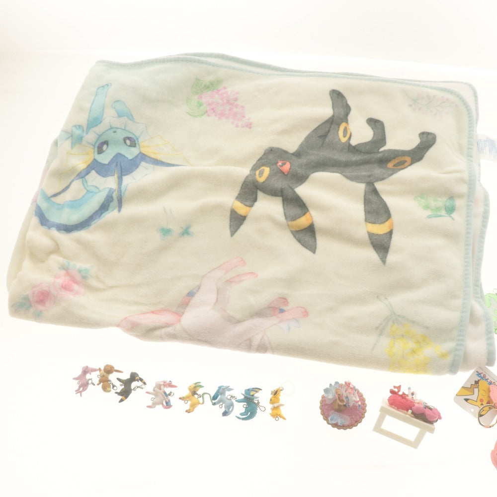 ■ Pokémon Eevee Eevee Friends 21-Piece Goods Set Blanket Cleaner Mascot Acrylic, etc. (includes items with tags)
