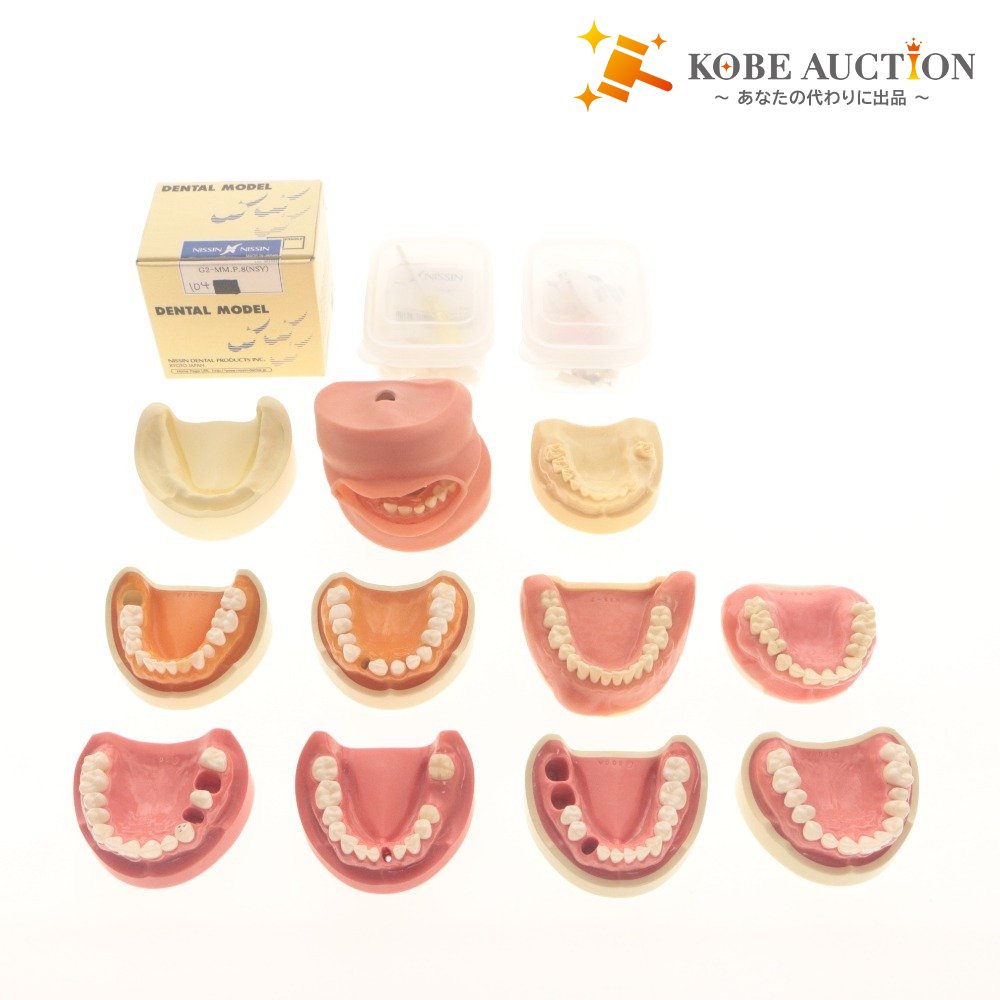 ■ Dental Supplies: Dental Models, Jaw Models, Rubber Cheeks, Plaster Models - Bulk Sale, Includes Surgical Training, Resin Teeth, Melamine Teeth, and Items with Boxes