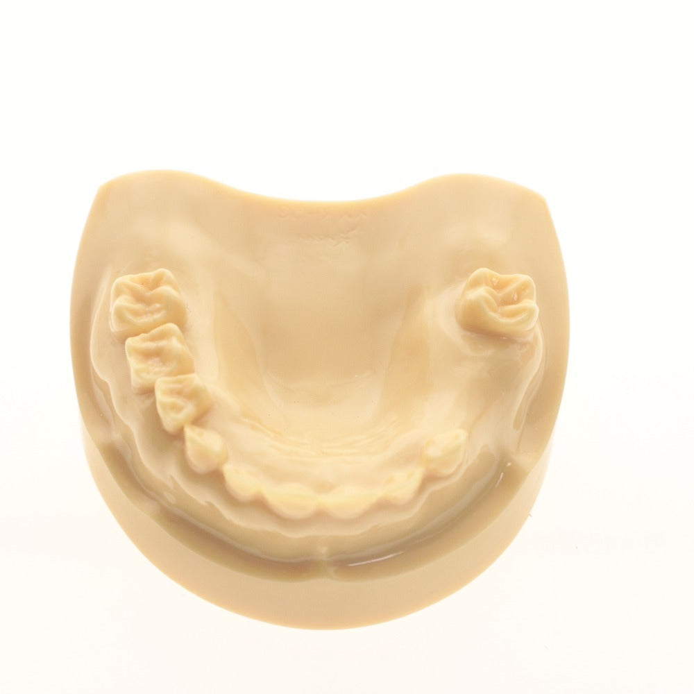 ■ Dental Supplies: Dental Models, Jaw Models, Rubber Cheeks, Plaster Models - Bulk Sale, Includes Surgical Training, Resin Teeth, Melamine Teeth, and Items with Boxes
