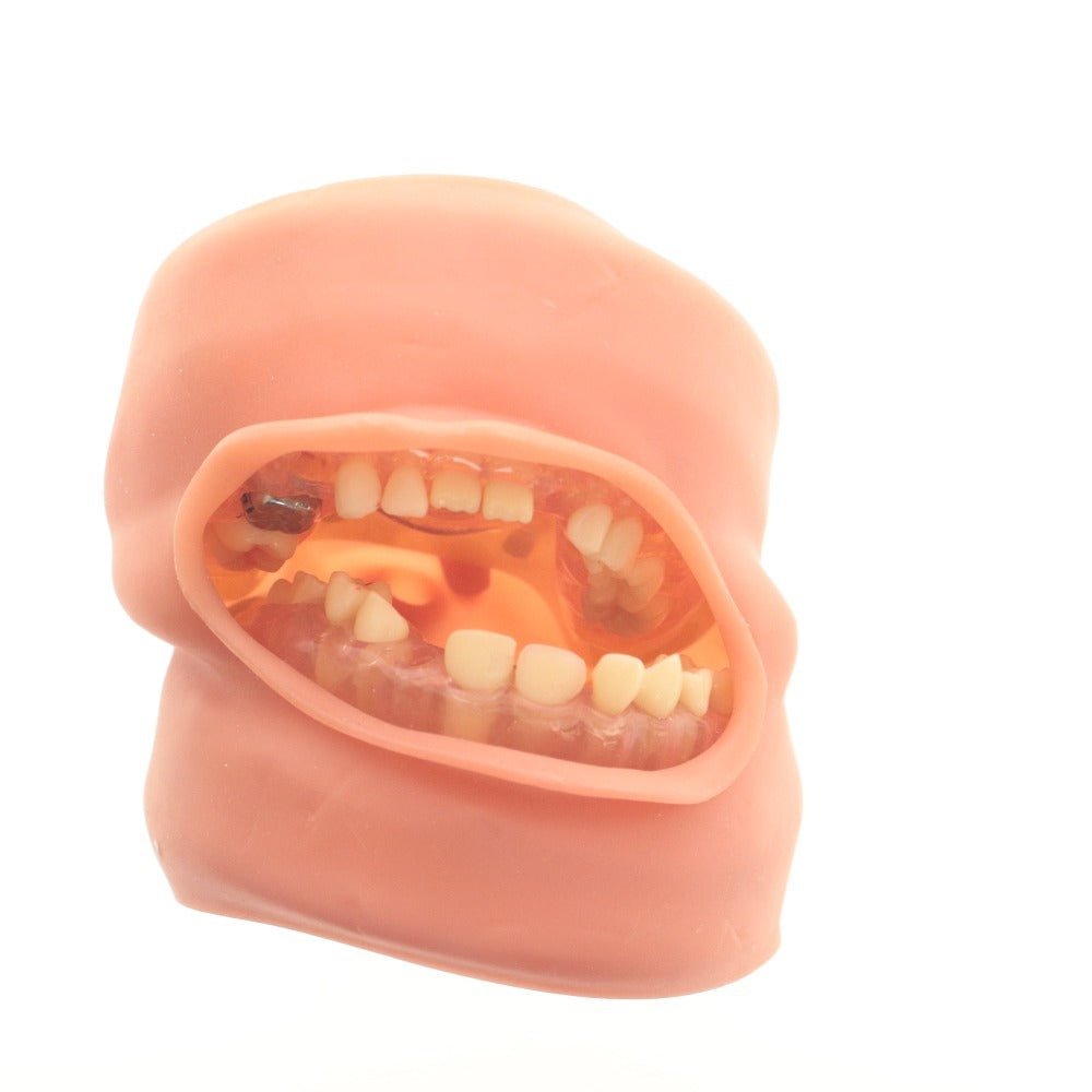 ■ Dental Supplies: Dental Models, Jaw Models, Rubber Cheeks, Plaster Models - Bulk Sale, Includes Surgical Training, Resin Teeth, Melamine Teeth, and Items with Boxes