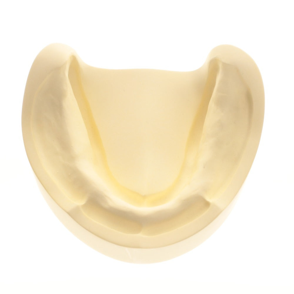 ■ Dental Supplies: Dental Models, Jaw Models, Rubber Cheeks, Plaster Models - Bulk Sale, Includes Surgical Training, Resin Teeth, Melamine Teeth, and Items with Boxes