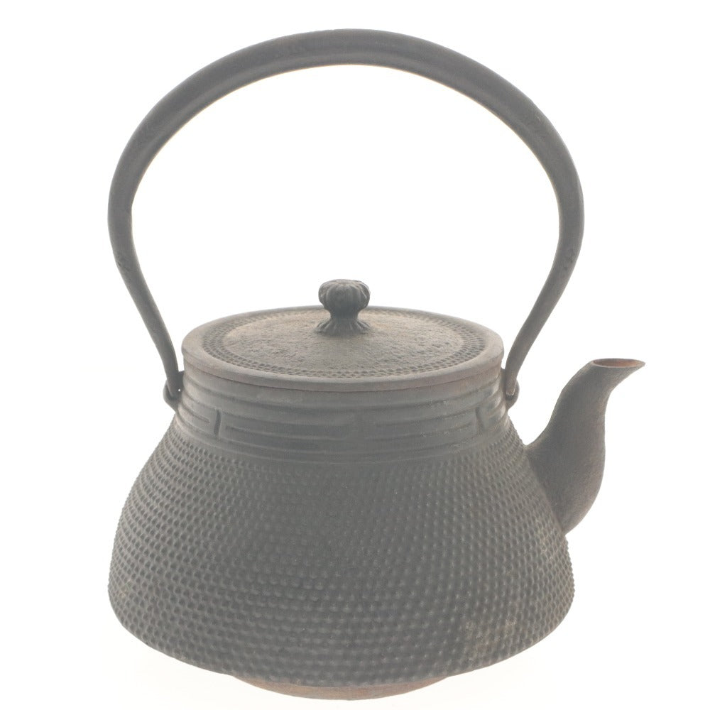 ■ 急須 鉄瓶 南部鉄器 茶道具 煎茶道具 アンティーク 茶器 あられ模様 伝統工芸 鉄器
