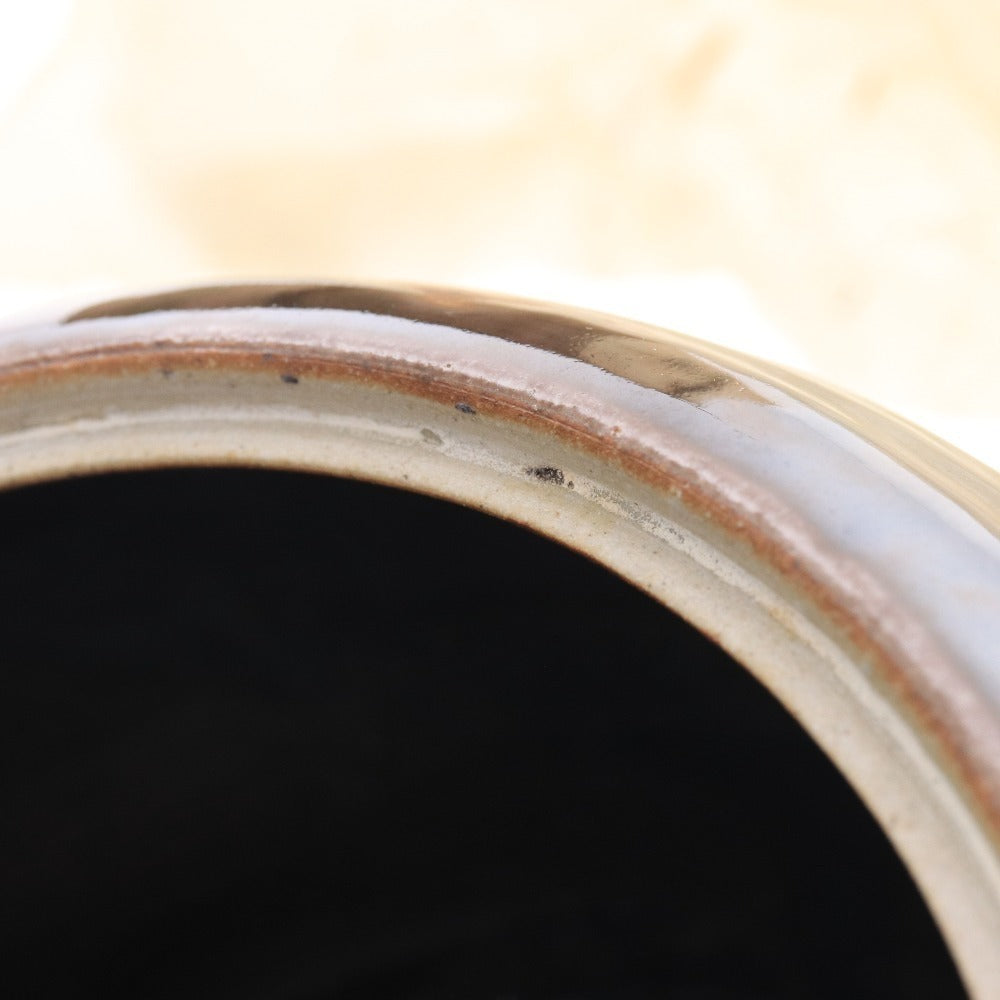 ■ 陽炎園 茶道具 水指 膳所焼 日本文化 和 茶席 木箱付き