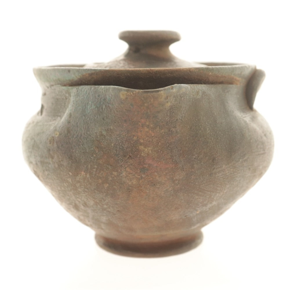 ■ 佐久知炎仙 宝瓶 急須 南蛮焼 骨董品 陶芸 陶器 茶器 道具