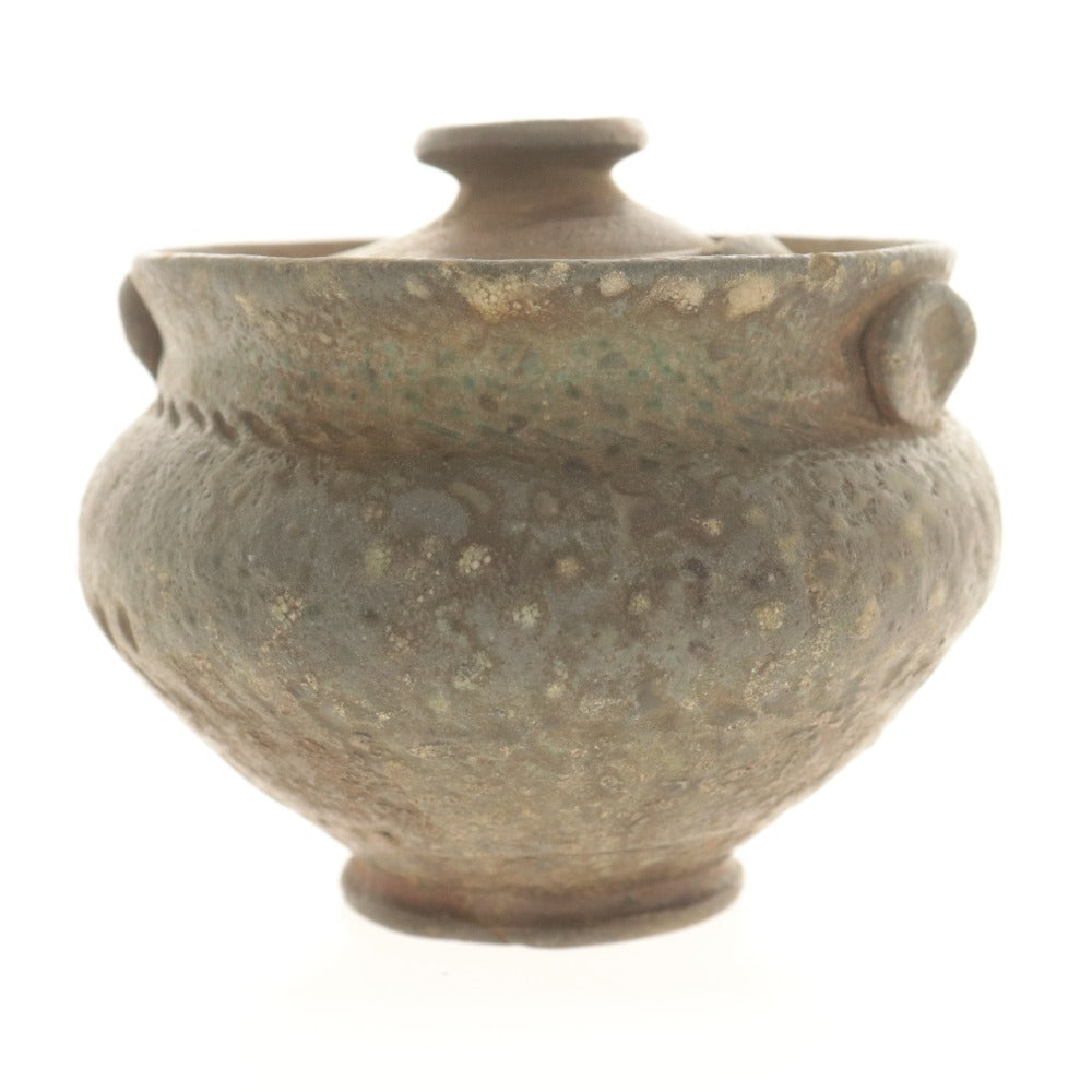 ■ 佐久知炎仙 宝瓶 急須 南蛮焼 骨董品 陶芸 陶器 茶器 道具